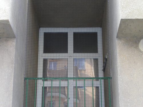 Eco-Friendly Bird Control