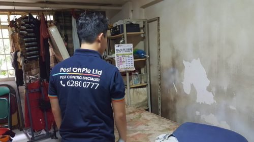 mold inspection