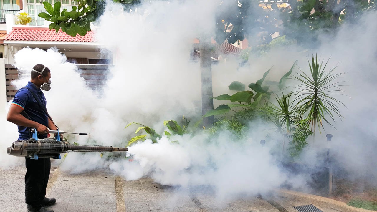 Thermal Fogging for Residential Property