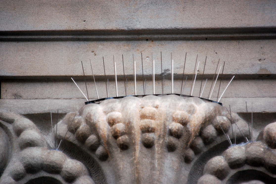 Bird proofing Spikes
