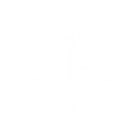 Icon Ants